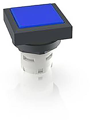 RAFI 1.30.070.201/1607 1.30.070.201/1607 Leuchtdrucktaster (L x B x H) 24.95 x 24.95 x 26.35mm