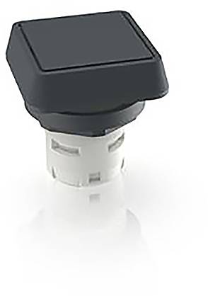 RAFI 1.30.070.251/0100 1.30.070.251/0100 Drucktaster (L x B x H) 24.95 x 24.95 x 26.35mm