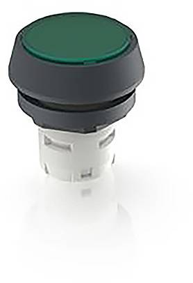 RAFI 1.30.070.271/0500 1.30.070.271/0500 Drucktaster (L x B x H) 24.95 x 24.95 x 26.35mm