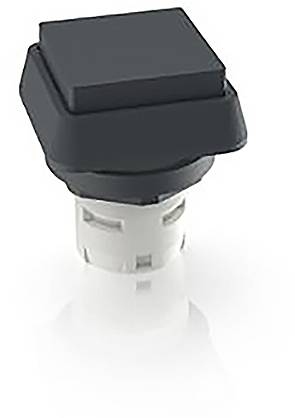 RAFI 1.30.070.301/0100 1.30.070.301/0100 Drucktaster (L x B x H) 24.95 x 24.95 x 29.15mm