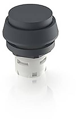 RAFI 1.30.070.321/0100 1.30.070.321/0100 Drucktaster (L x B x H) 24.95 x 24.95 x 29.15mm