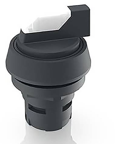 RAFI 1.30.073.670/0200 RAFIX 16 Leuchtwahlschalter 2 x 40°