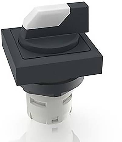 RAFI 1.30.073.740/0200 RAFIX 16 Leuchtwahlschalter 2 x 60°