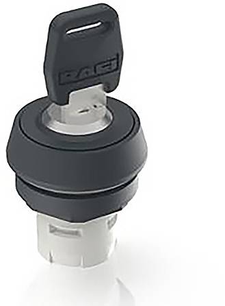 RAFI 1.30.076.121/0000 RAFIX 16 Schlüsselschalter 1 x 90°