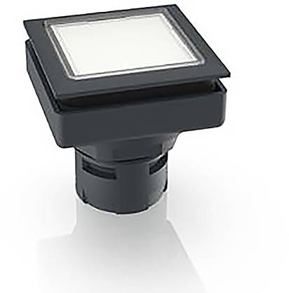 RAFI 1.30.090.001/1000 1.30.090.001/1000 Leuchtdrucktaster (L x B x H) 24.9 x 24.9 x 26.2mm