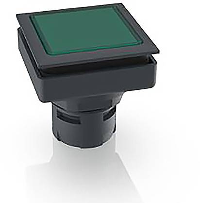 RAFI 1.30.090.001/1500 1.30.090.001/1500 Leuchtdrucktaster (L x B x H) 24.9 x 24.9 x 26.2mm