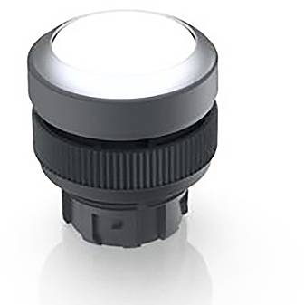RAFI 1.30.240.131/0200 1.30.240.131/0200 Drucktaster rastend (L x B x H) 29.8 x 29.8 x 32.3mm