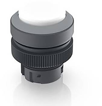 RAFI 1.30.240.201/1008 1.30.240.201/1008 Leuchtdrucktaster tastend (L x B x H) 29.8 x 29.8 x 35.35mm