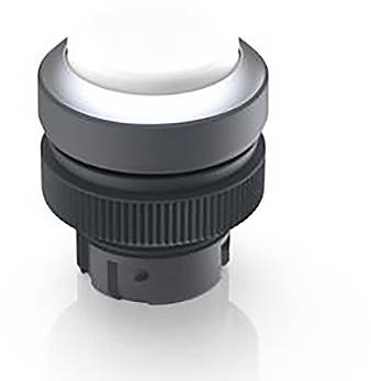 RAFI 1.30.240.231/1000 1.30.240.231/1000 Leuchtdrucktaster rastend (L x B x H) 29.8 x 29.8 x 35.35mm