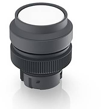 RAFI 1.30.240.401/1007 1.30.240.401/1007 Leuchtdrucktaster tastend (L x B x H) 29.8 x 29.8 x 35.5mm