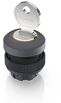 RAFI 1.30.245.201/0700 RAFIX 22 QR Schlüsselschalter 1 x 90°