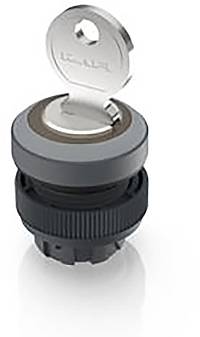 RAFI 1.30.245.321/0800 RAFIX 22 QR Schlüsselschalter 1 x 90°