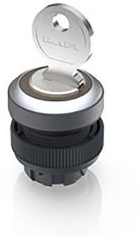 RAFI 1.30.245.524/0000 RAFIX 22 QR Schlüsselschalter 1 x 90°/40°