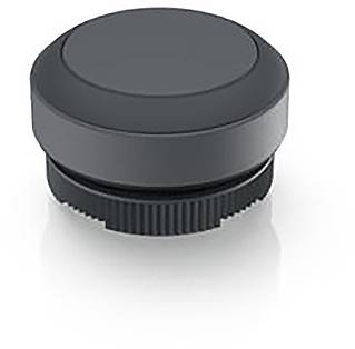 RAFI 1.30.270.001/0707 1.30.270.001/0707 Drucktaster tastend (L x B x H) 29.8 x 29.8 x 18.5mm
