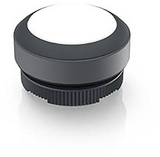 RAFI 1.30.270.001/2201 1.30.270.001/2201 Leuchtdrucktaster tastend (L x B x H) 29.8 x 29.8 x 18.5mm