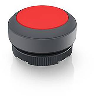 RAFI 1.30.270.001/2307 1.30.270.001/2307 Leuchtdrucktaster tastend (L x B x H) 29.8 x 29.8 x 18.5mm
