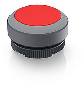 RAFI 1.30.270.001/2308 1.30.270.001/2308 Leuchtdrucktaster tastend (L x B x H) 29.8 x 29.8 x 18.5mm