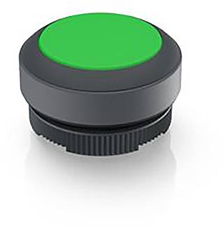 RAFI 1.30.270.001/2501 1.30.270.001/2501 Leuchtdrucktaster tastend (L x B x H) 29.8 x 29.8 x 18.5mm