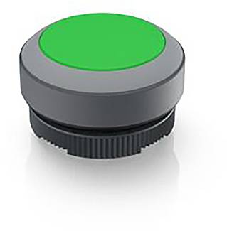 RAFI 1.30.270.001/2508 1.30.270.001/2508 Leuchtdrucktaster tastend (L x B x H) 29.8 x 29.8 x 18.5mm