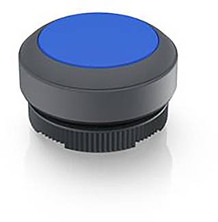 RAFI 1.30.270.001/2607 1.30.270.001/2607 Leuchtdrucktaster tastend (L x B x H) 29.8 x 29.8 x 18.5mm