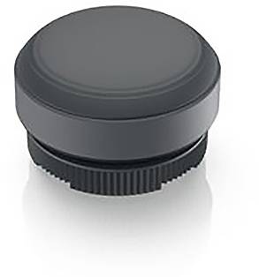 RAFI 1.30.270.005/0101 1.30.270.005/0101 Drucktaster tastend (L x B x H) 29.8 x 29.8 x 20.7mm