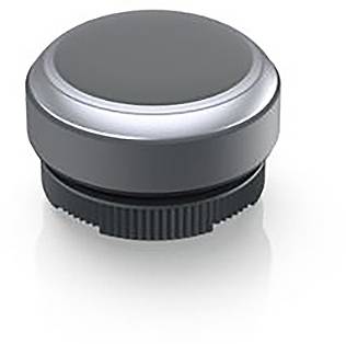 RAFI 1.30.270.005/0108 1.30.270.005/0108 Drucktaster tastend (L x B x H) 29.8 x 29.8 x 20.7mm