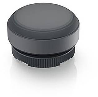 RAFI 1.30.270.005/0701 1.30.270.005/0701 Drucktaster tastend (L x B x H) 29.8 x 29.8 x 20.7mm