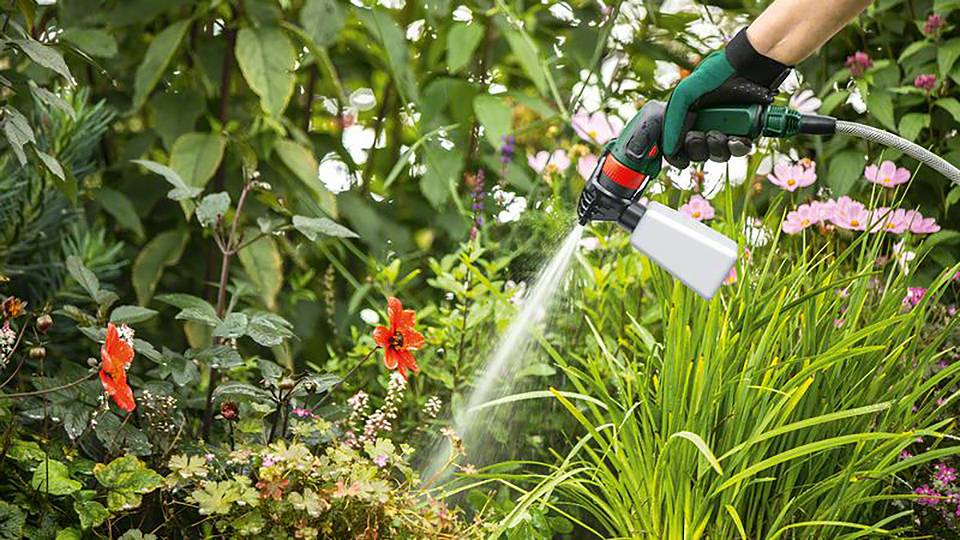Eine Hand mit Gartenhandschuhen gießt bunte Blumen in einem blühenden Garten, umgeben von grünem Laub.