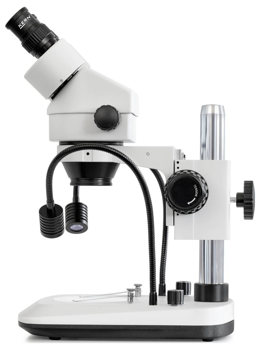 Ein weißes Stereomikroskop mit zwei flexiblen LED-Leuchten, montiert auf einem stabilen Ständer, wird aus seitlicher Perspektive gezeigt.