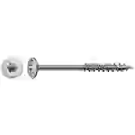 SPAX 0257000601005 Holzschraube 6mm 100mm T-STAR plus Edelstahl A2 100St. SPAX 0257000601005 Holzschraube 6mm 100mm T-STAR plus Edelstahl A2 100St.