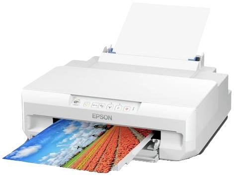 Ein weißer Drucker zeigt einen farbenfrohen Ausdruck von einem blauen Himmel und einem Feld. Papierzufuhr ist oben sichtbar.