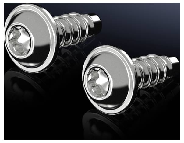 Rittal 1485.300 1485300 Blechschrauben 50St.