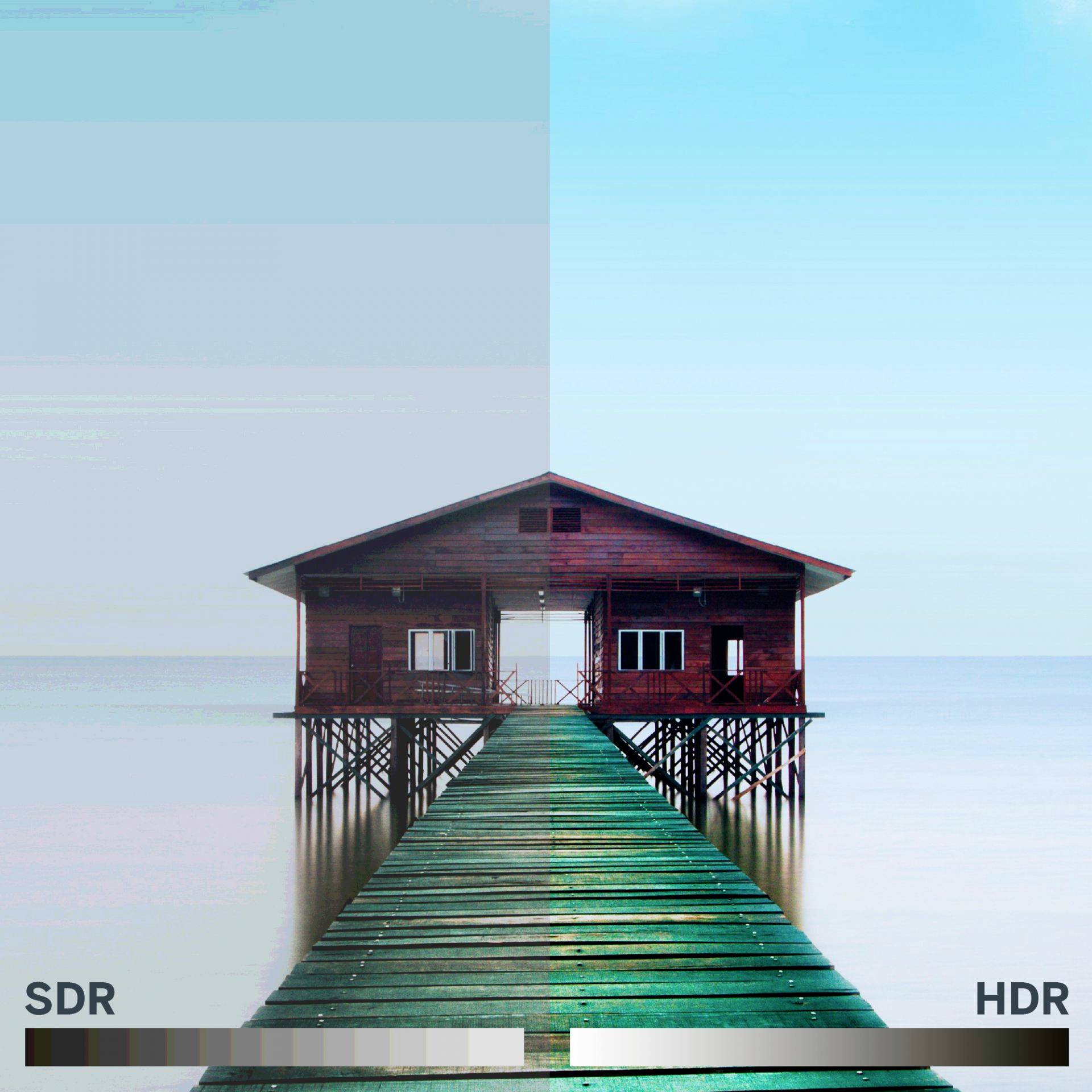 Thomson 65UA5S13 LED-TV 165 cm 65 Zoll EEK F (A - G) DVB-C, DVB-S, DVB-S2, DVB-T, DVB-T2, UHD, WLAN, Smart TV, CI+ Schwarz