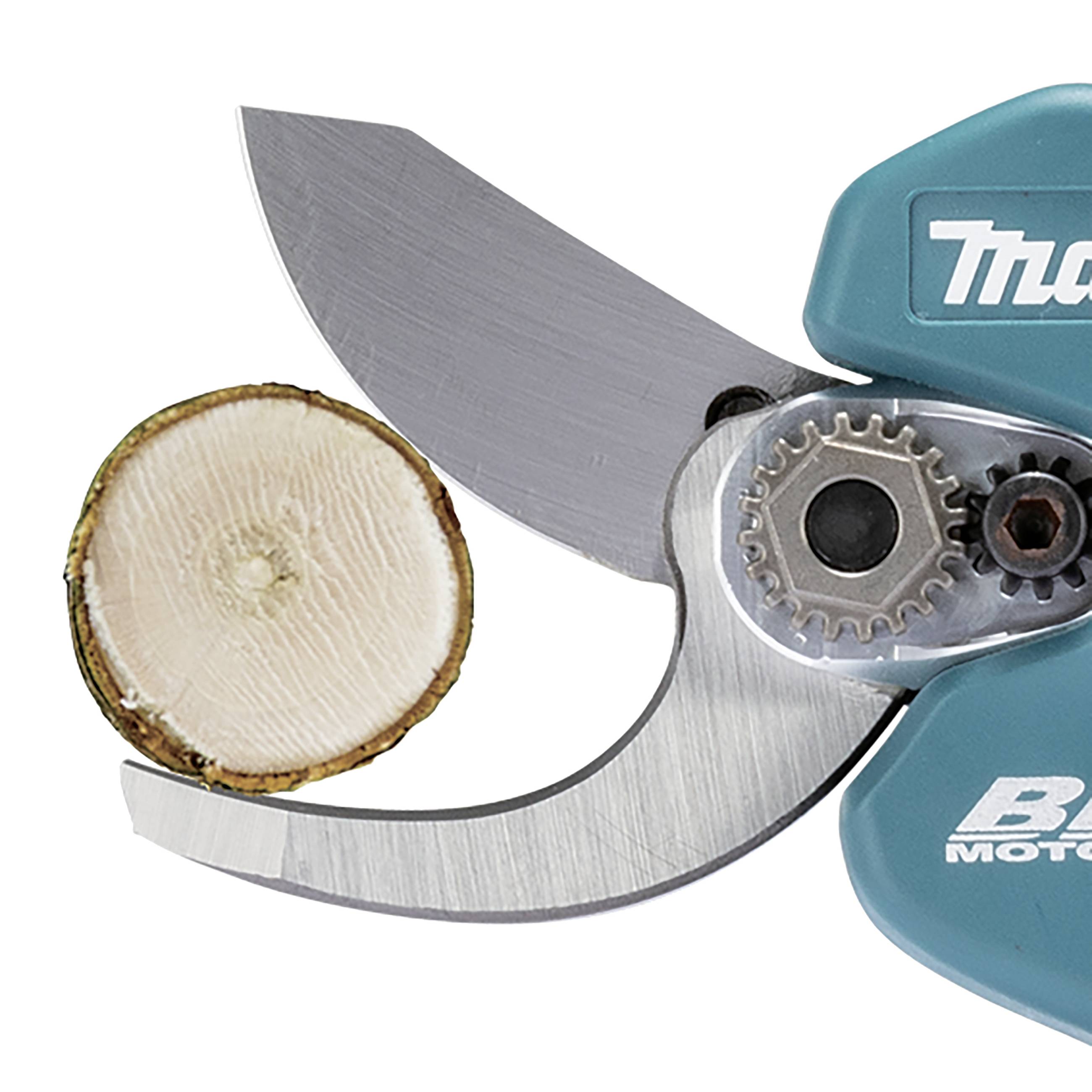 Gartenschere, die einen Ast schneidet. Nahaufnahme zeigt Schnittfläche des Astes und die Klingen der Schere im Detail.