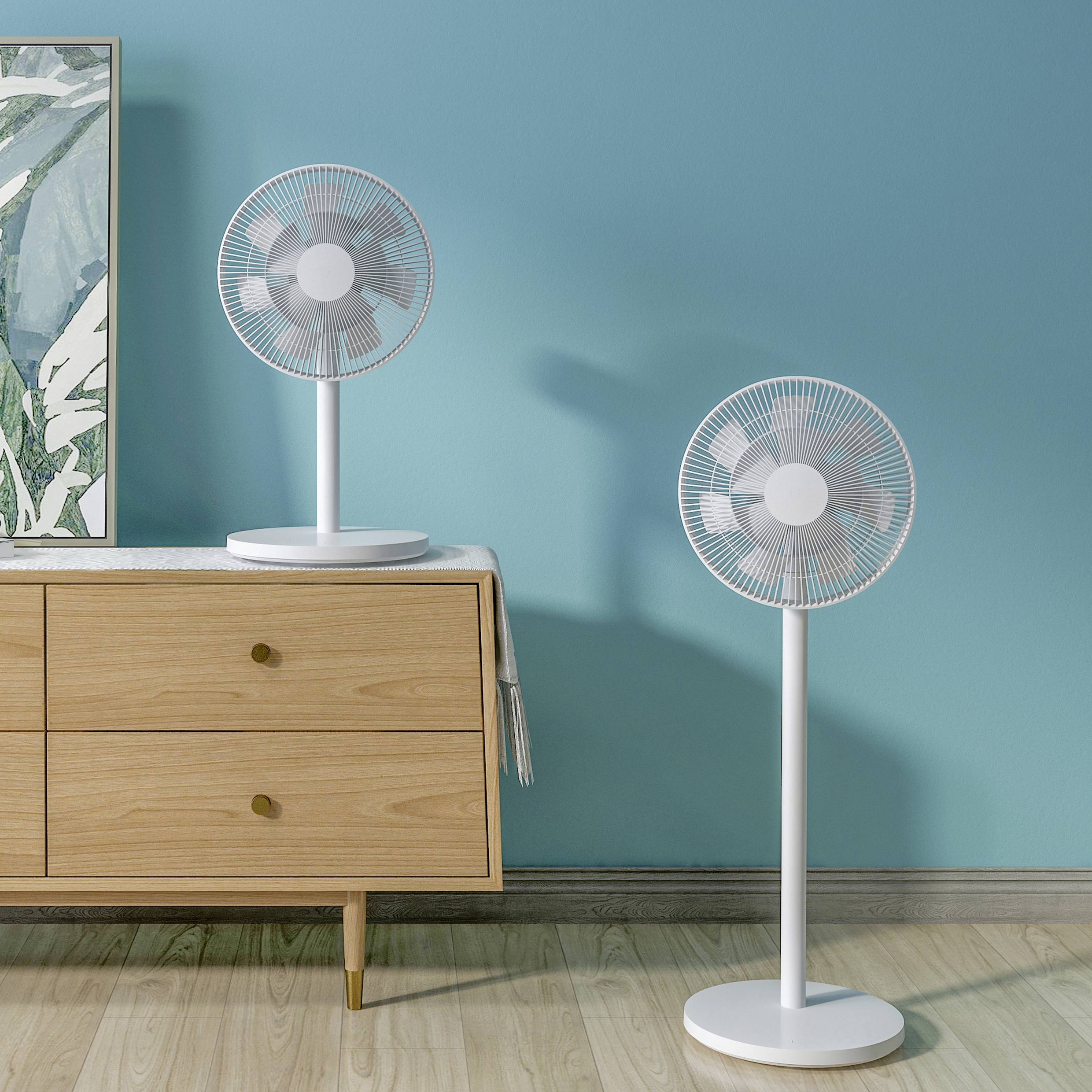 Zwei Ventilatoren stehen in einem Raum: Einer auf einem Holztisch, der andere auf dem Boden. Die Wand ist türkisfarben.