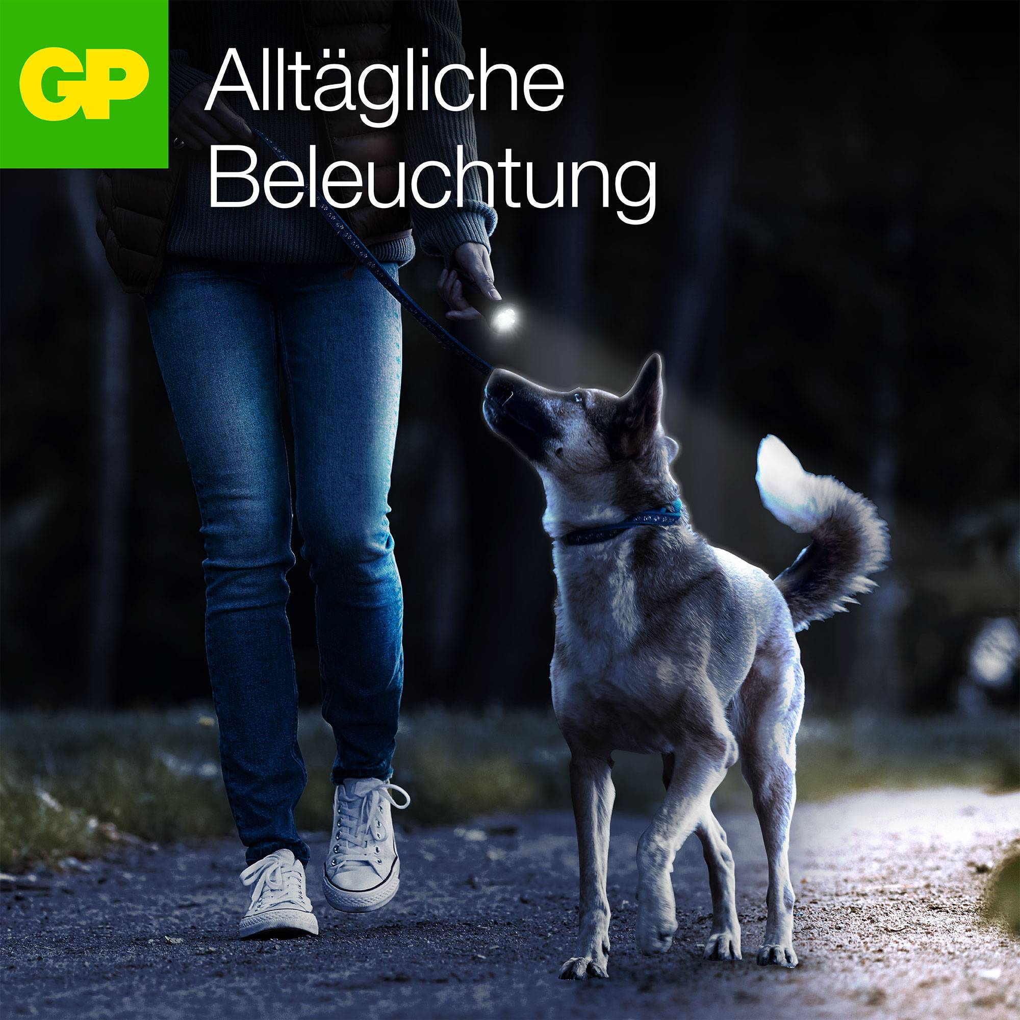Person mit Jeans und Turnschuhen geht im Dunkeln mit einem Hund an der Leine. Text 'Alltägliche Beleuchtung' zu sehen.