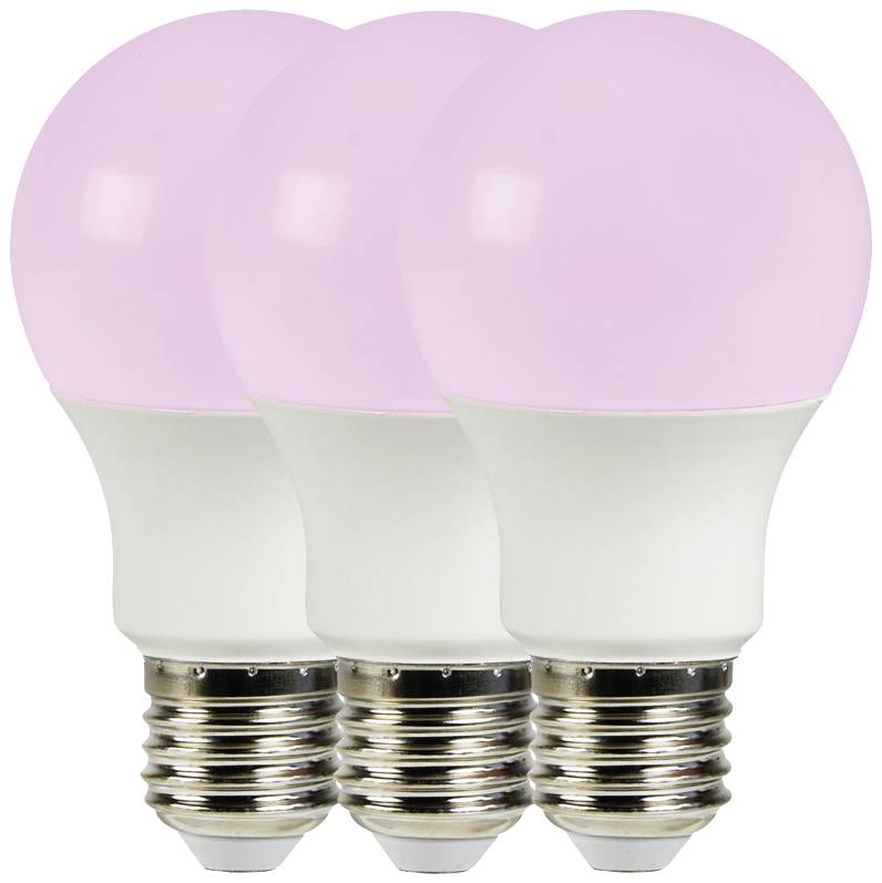 Drei rosa LED-Glühbirnen nebeneinander.