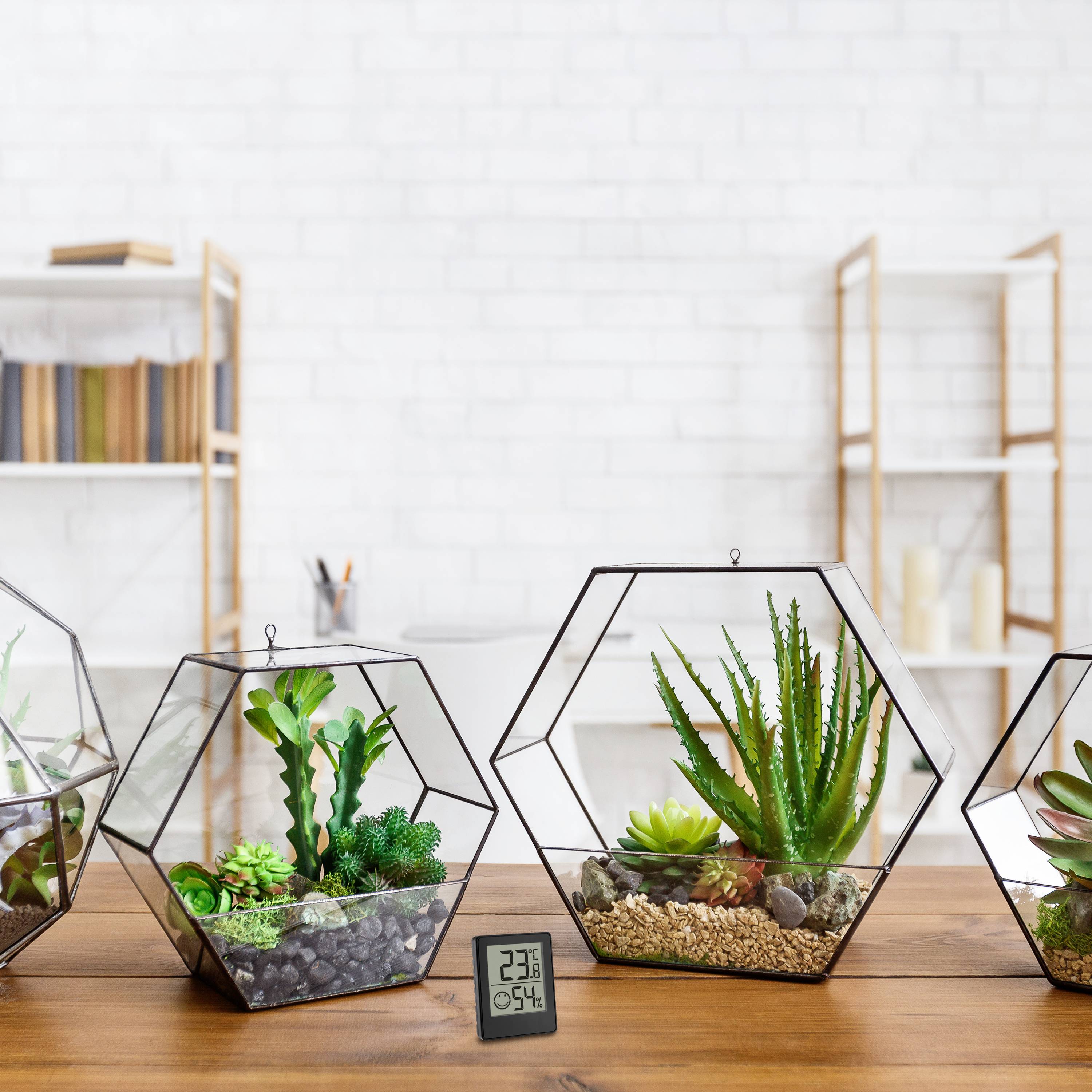 TFA Dostmann Digitales Thermo-Hygrometer Thermo-/Hygrometer Schwarz 30.5039.01.03