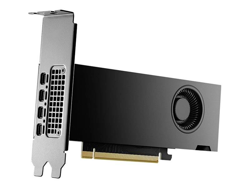PNY NVIDIA RTX 2000 Ada Generation Grafikkarten Quadro