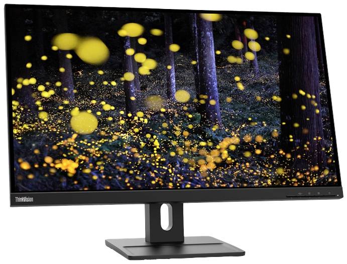 Ein Computermonitor zeigt ein Bild von leuchtenden gelben Punkten im Dunkeln, umgeben von unscharfen Baumstämmen im Hintergrund.