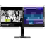 Lenovo ThinkVision P34w-20 LED-Monitor EEK F (A - G) 86.4cm (34 Zoll) 3440 x 1440 Pixel 21:9 6 ms USB-C®, USB-B, USB 3.2 Gen
