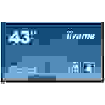 Iiyama ProLite LH4375UHS-B1AG Digital Signage Display EEK: G (A - G) 108cm 42.5 Zoll 3840 x 2160 Pixel 24/7
