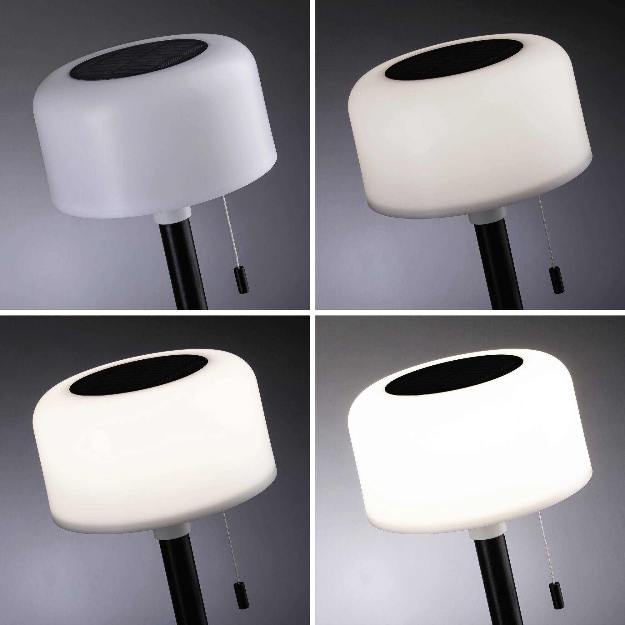 Paulmann 94607 Bartja Solar-Tischlampe 1.6W Warmweiß Schwarz