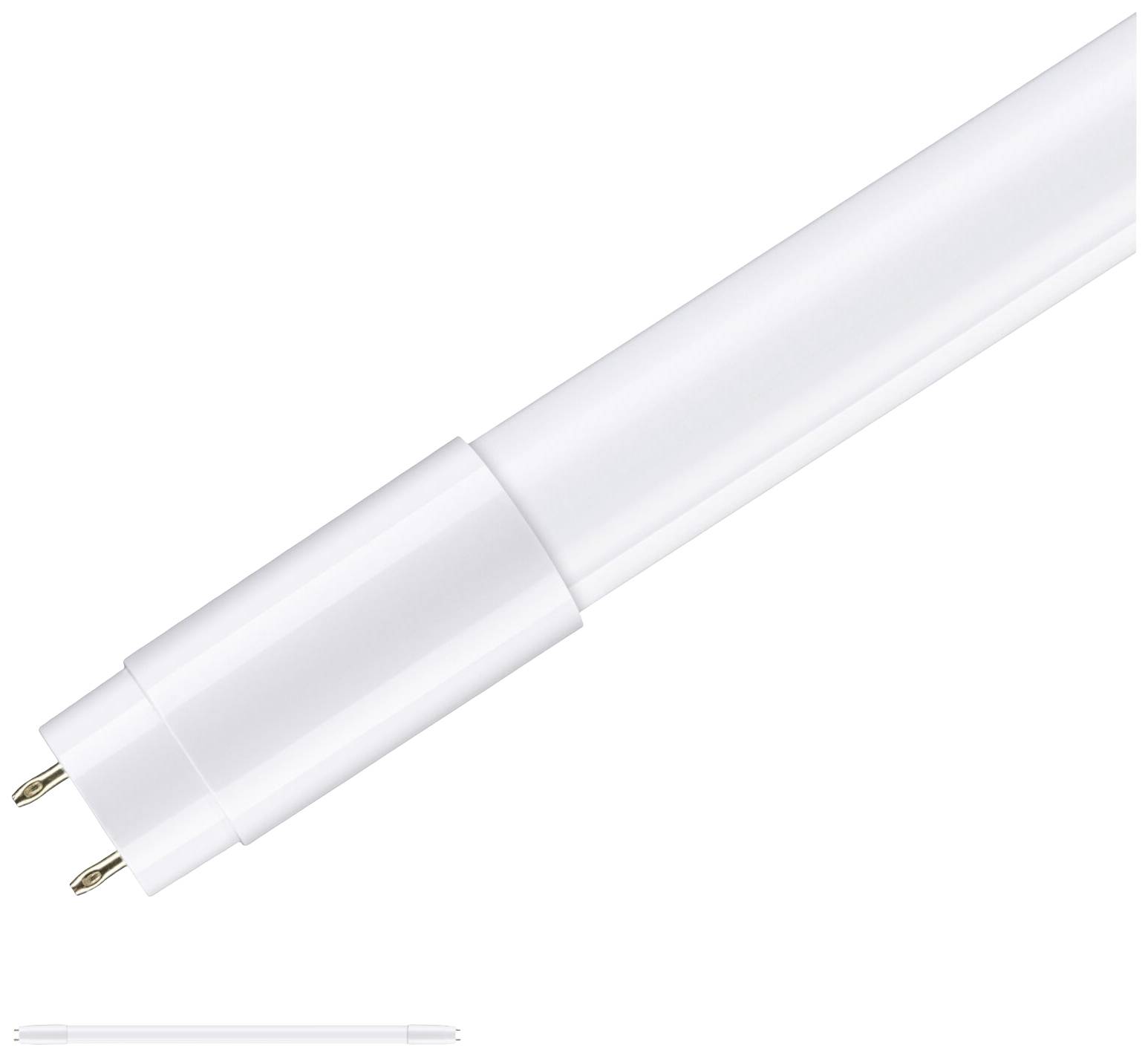 Paulmann LED-Röhre EEK: F (A - G) G13 T8 11W Tageslichtweiß (Ø) 27mm 1St.