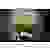 Philips Beamer NeoPix 730 LCD Helligkeit: 700 lm 1920 x 1080 Full HD 3000 : 1 Schwarz