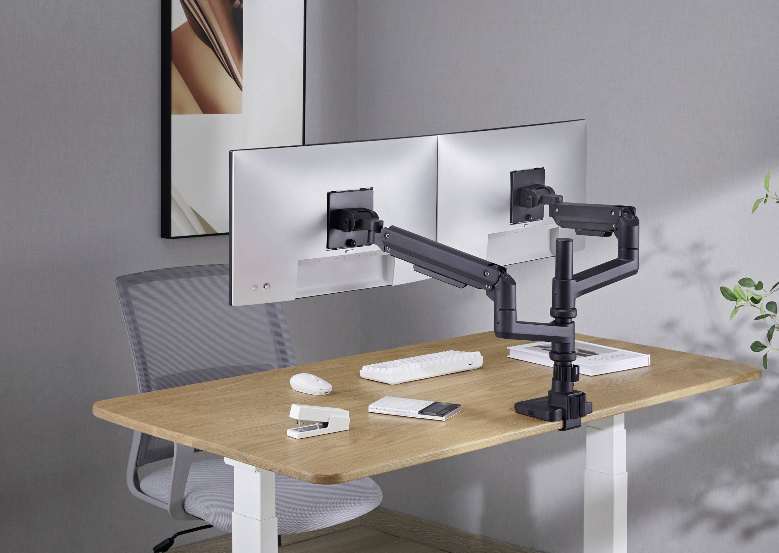Doppelter Monitorarm auf einem Schreibtisch, an dem zwei Monitore befestigt sind. Arbeitsplatz mit Tastatur, Maus und Büropflanze.