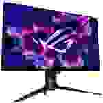 Asus ROG Swift PG32UCDM Gaming Monitor EEK G (A - G) 80cm (31.5 Zoll) 3840 x 2160 Pixel 16:9 0.03 ms DisplayPort, HDMI®
