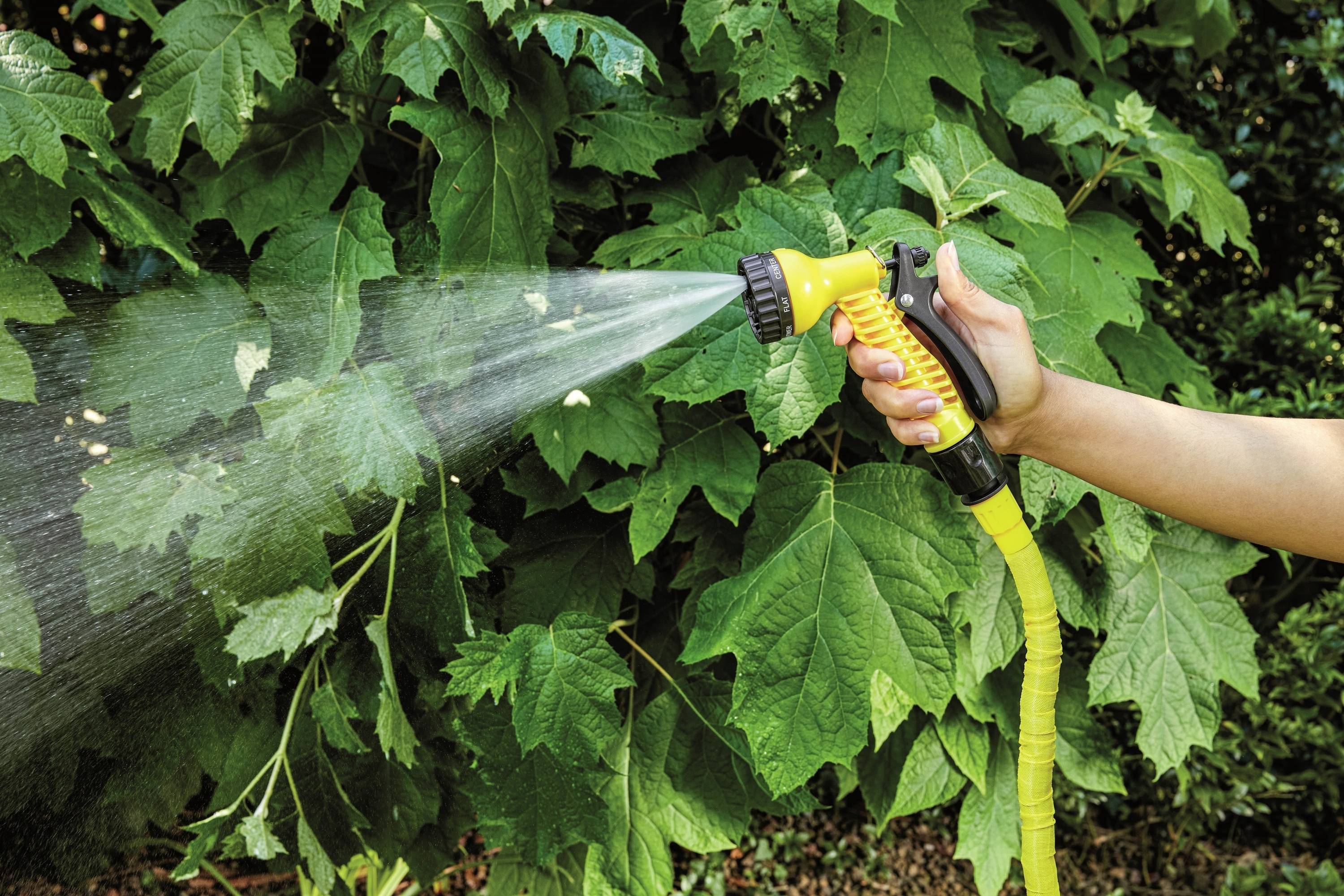 Eine Hand hält einen gelben Gartenschlauch mit einer Düse und gießt Wasser auf große grüne Blätter einer Pflanze im Freien.