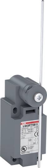 Ein Limit-Schalter mit einem Gehäuse aus grauem Kunststoff und einer langen Metallhebelstange.