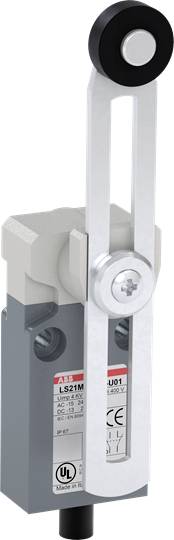 Ein industrieller Positionsschalter mit Hebelarm und Kunststoffrad, geeignet für mechanische Anwendungen zur Positionsüberwachung.